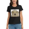 Women TShirt Jotchua Meme Jotchua Dog Summer Short Sleeve Tees Round Neck Cotton T Shirts Clothes Tops Streetwear