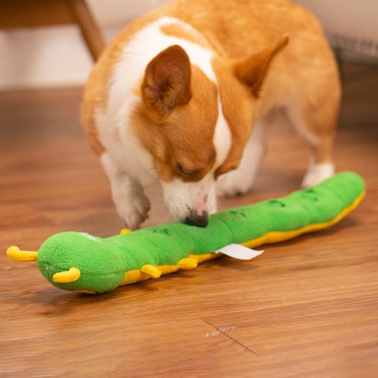 Psi Plyšové znějící zuby Čichání Vzdělávací broušení Děravý Stres Úzkost Čištění zubů Úleva Plyšová hračka pro domácí mazlíčky