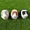 Soft Simulation Fur Guinea Pig Hamster Plush Toy New Plush Stuffed Doll  Kids Gift