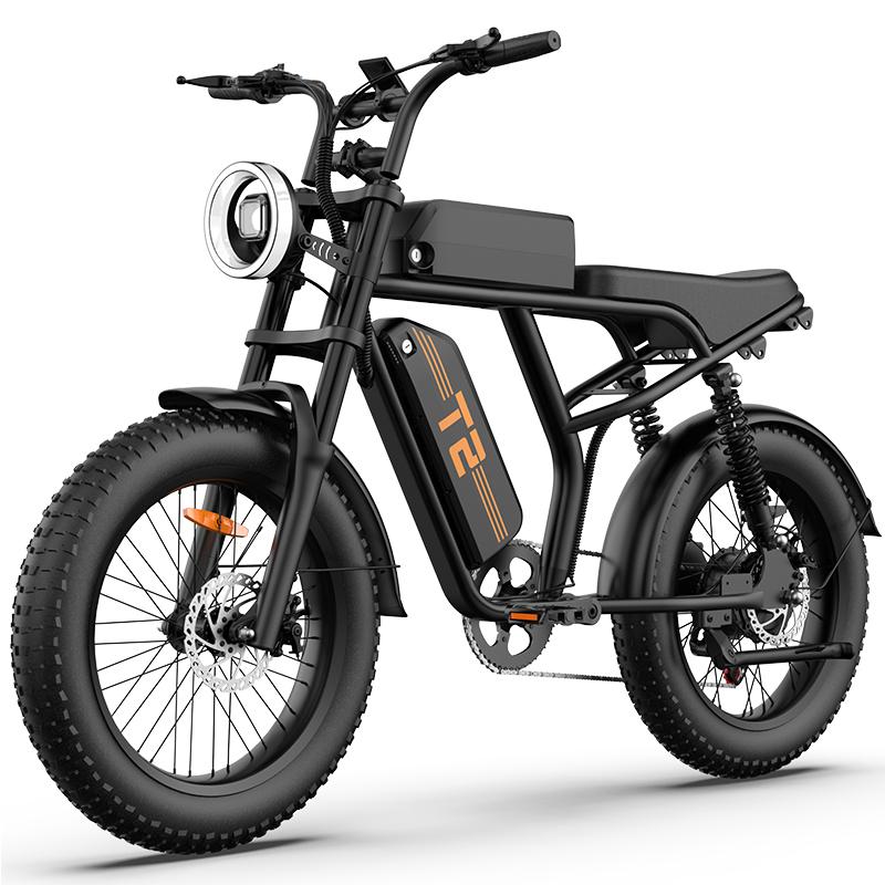 URLIFE T2 Terénní elektrické kolo 48V15.6AH Baterie 750W Motor Jízda v přírodě E-horské kolo 20 palcové tlusté pneumatiky Terénní elektrické kolo
