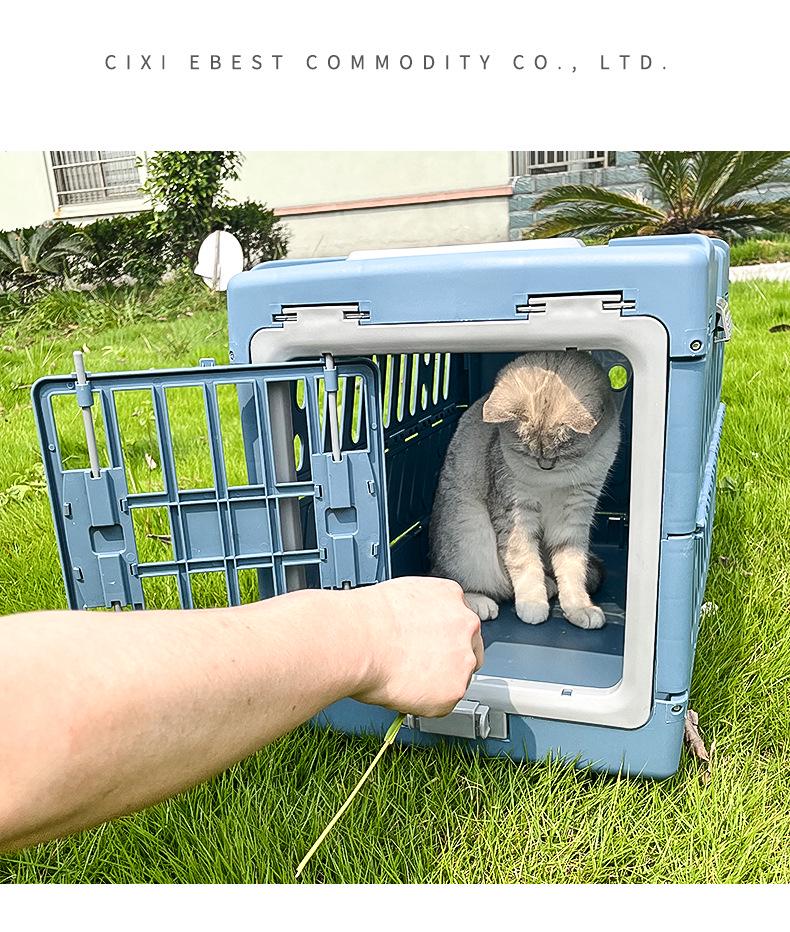 Trasportino Pieghevole Portatile per Animali Karolfer: Capsula spaziale traspirante per cani e gatti.