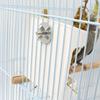 1PC Bird Fruit Vegetable Feeder Bowl, Parrot Feeding Holder Rack, Bird Feeders Pet Supplies