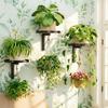 Raised Tray Edge Plant Display Stand Carbon Steel Flower Pot Rack  Window Display