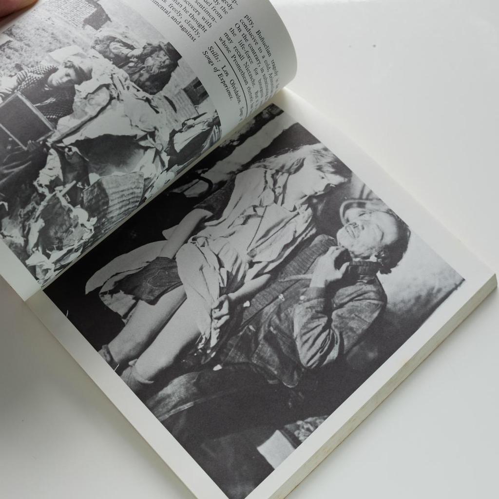 [USED] LUIS BUNUEL 1977 Out of Print Book by R. Durgnat