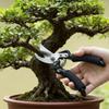 Garden Scissors for Pruning Branches And Picking Fruits Garden Accessories