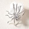Brooch Spider Necklace Opening Ring Insect Ear Studs Chic Exaggerated Spider Jewelry Set  Party