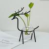 Nordic Hydroponic Flower Pot for Succulents and Water-Grown Plants - Desktop Vase Decoration