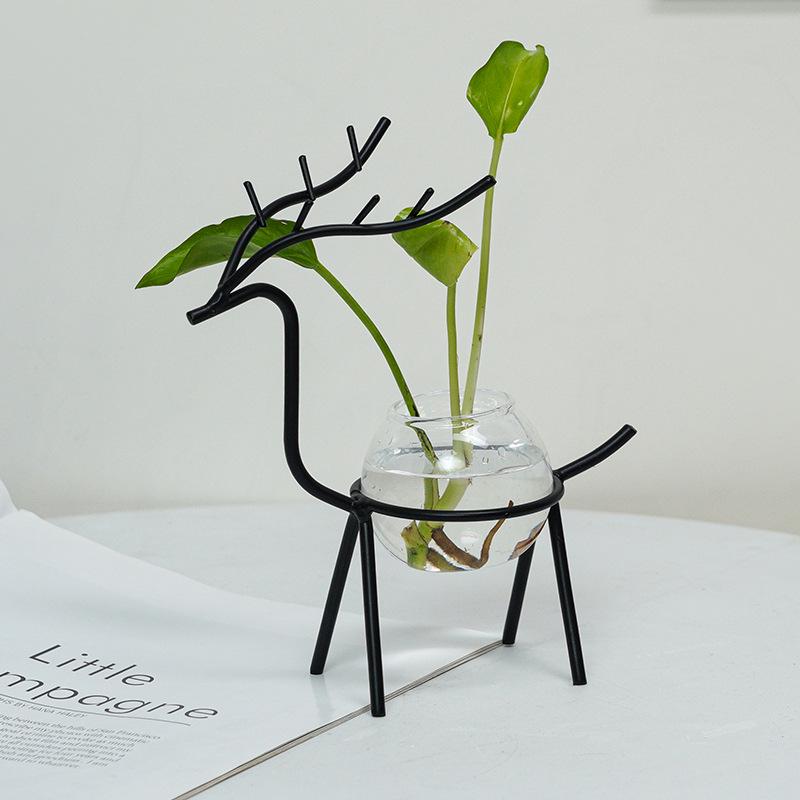 Nordic Hydroponic Flower Pot for Succulents and Water-Grown Plants - Desktop Vase Decoration