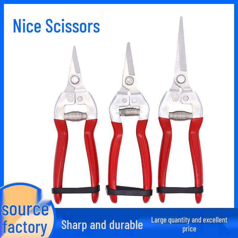 Stainless Steel Garden Pruning Shears with Dipped Handle