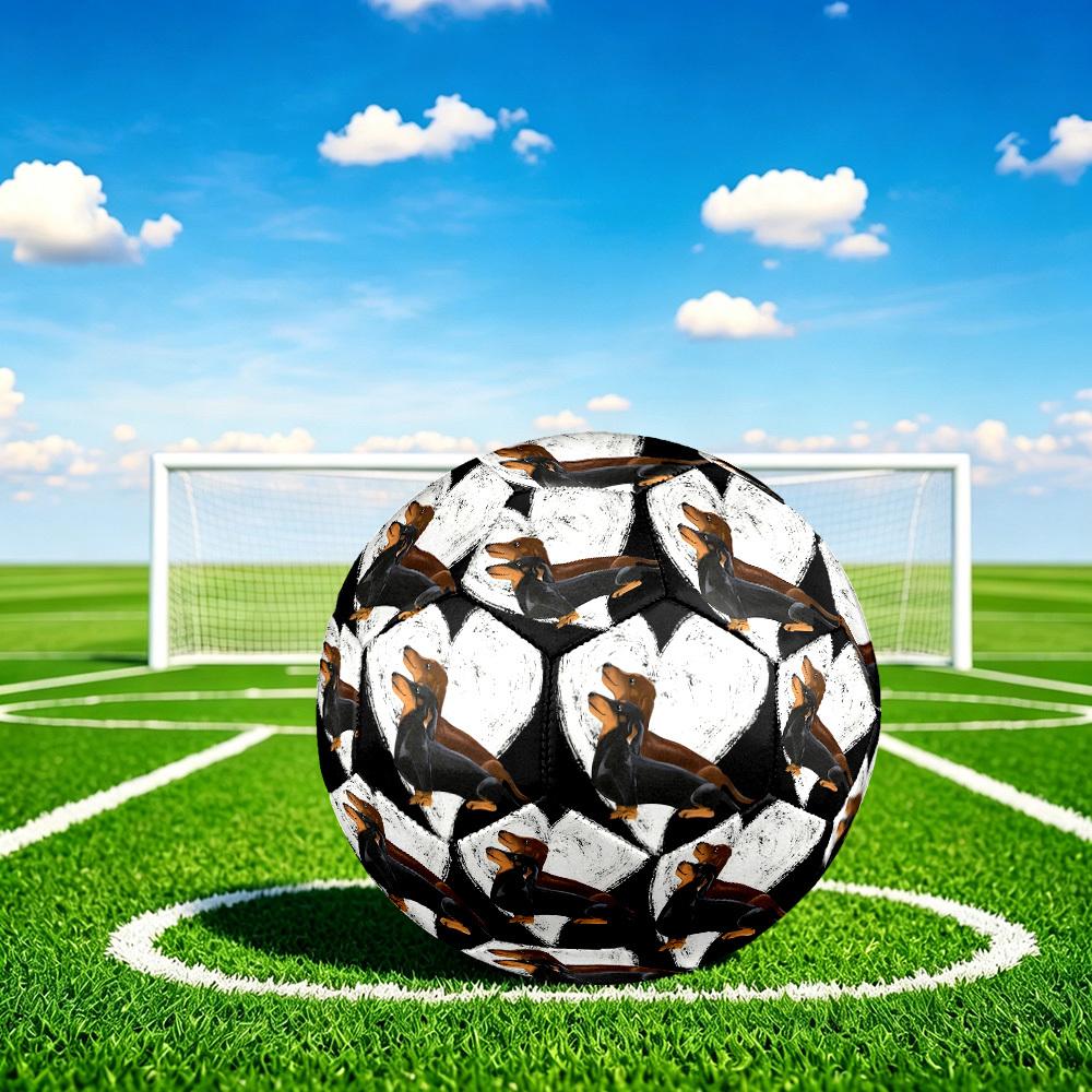 1pc Love Between Dogs Theme Soccer Ball Football, Size 5, Lightweight PVC, Outdoor Training Soccer Ball,Gift J6147