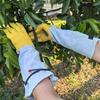 Sheepskin Garden Gloves Horticultural Labor Protection Anti Stab Anti Cut Long Beekeeping Argon Arc Welding Gloves Comfortable
