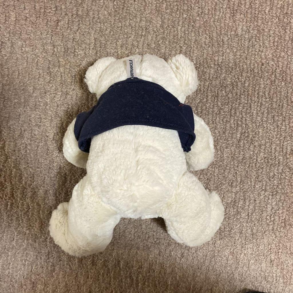 [USED] Teddy bear stuffed animal Air France airline
