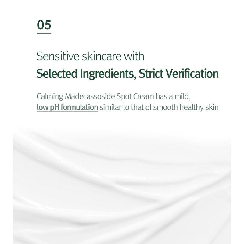 Pyunkang Yul Calming Madecasoside Spot Cream