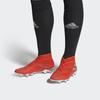Adidas Nemeziz 19+ Fg 'Active Red' F34404
