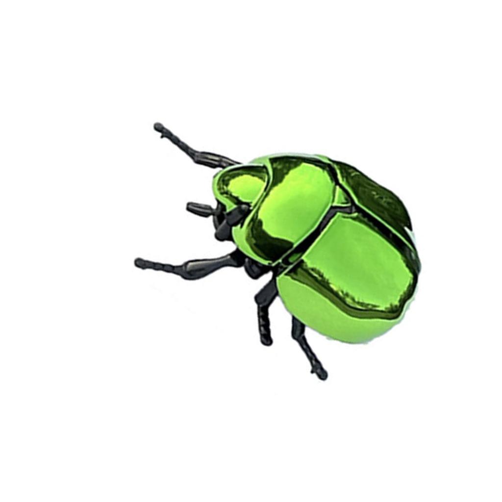Simulation Beetle Wind Up Toy Stress Relief Crawling Insect For Kids Adult Educational Science Exploration Learning Toy