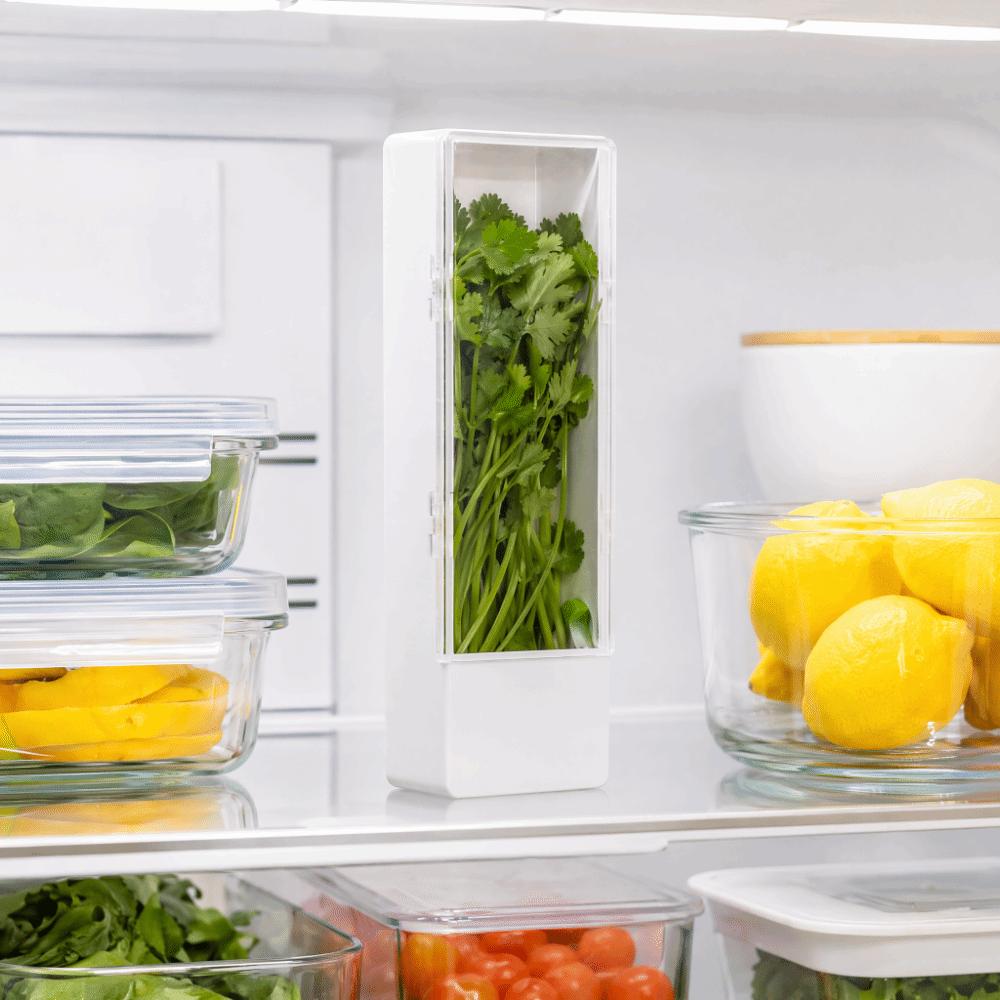 ABS Fresh Herb Keeper Clear Window Herb Preserver Saver Herb Storage Container Fridge Organization