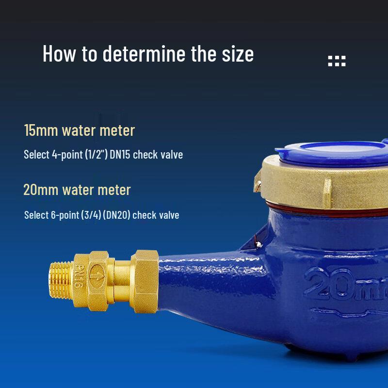6-Point Water Meter Anti-Backflow Check Valve