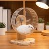Transparent Hamster Exercise Wheel Wooden Stand Hamster Running Stand Pet Exercise Toy  Golden Bear