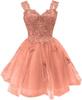Shiny Tulle Prom Dress Teen Dress 1D Butterfly Short Dress Homecoming Dress Graduation Dress