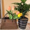 Modern Vintage Wooden Storage Basket for Plants Home Decor Cross Border