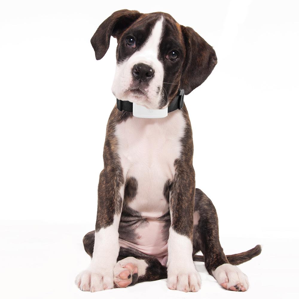 TK911 Pet GPS Tracker: WiFi, GPS & LBS Positioning with Charging Attachment for Cats/Dogs