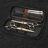 Stainless Steel Hairdressing Scissors & Thinning Shears Set for Cutting and Styling