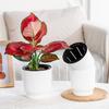 Self Watering Pots for Indoor Plants Plastic Wicking Flower Pots Modern African Violet Planter with Reservoir And Wick Rope