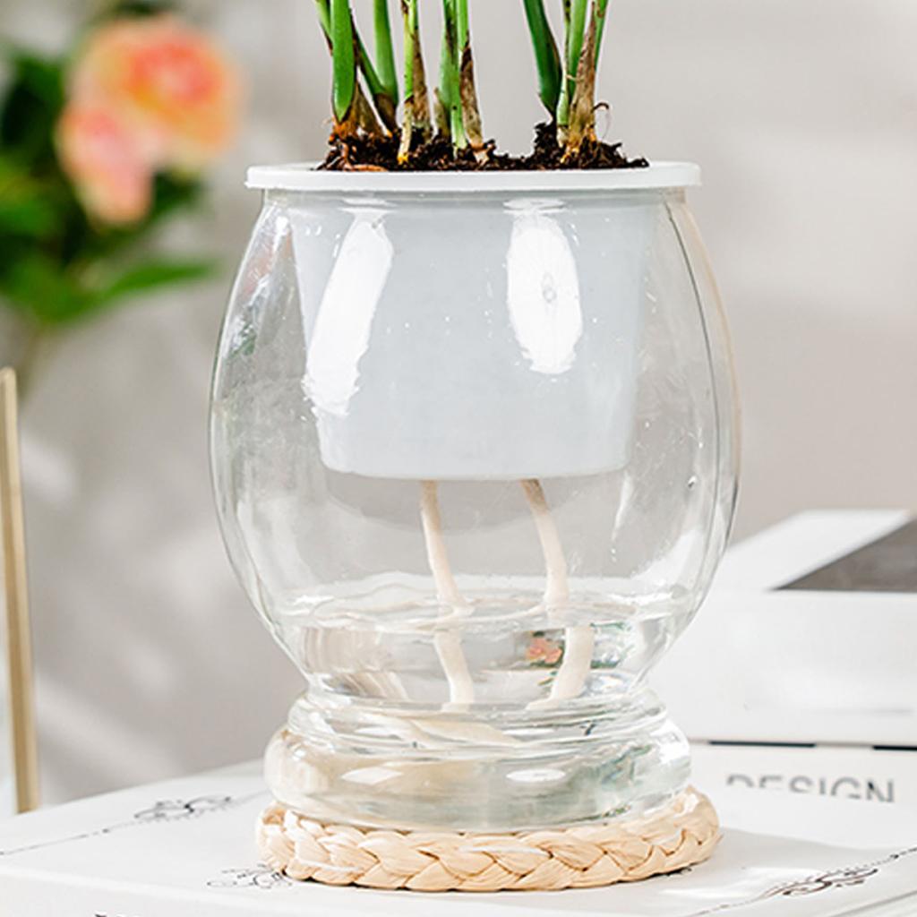 Transparent Self-Watering Plant Flower Pot Plastic Planter Automatic Water-Absorbing Flowerpot Home Garden Decor Lazy Flowerpot