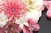 Hair Ornament 2 Piece Set Flower Tsumami Craft Mizuhiki Corsage Pink White Kaz5319 (Soubien) Lamé