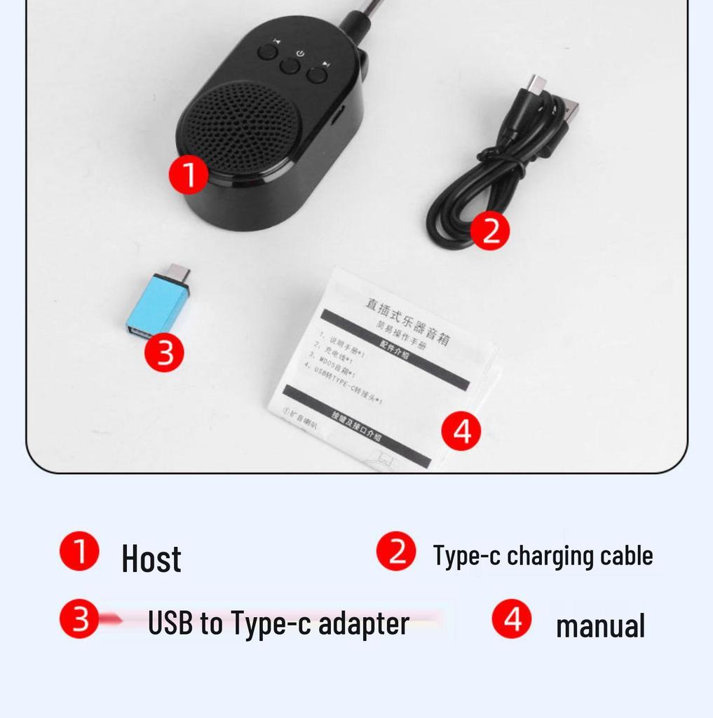 Bluetooth Mini Amplifier Speaker for Electric Wind Instruments with USB Flash Drive