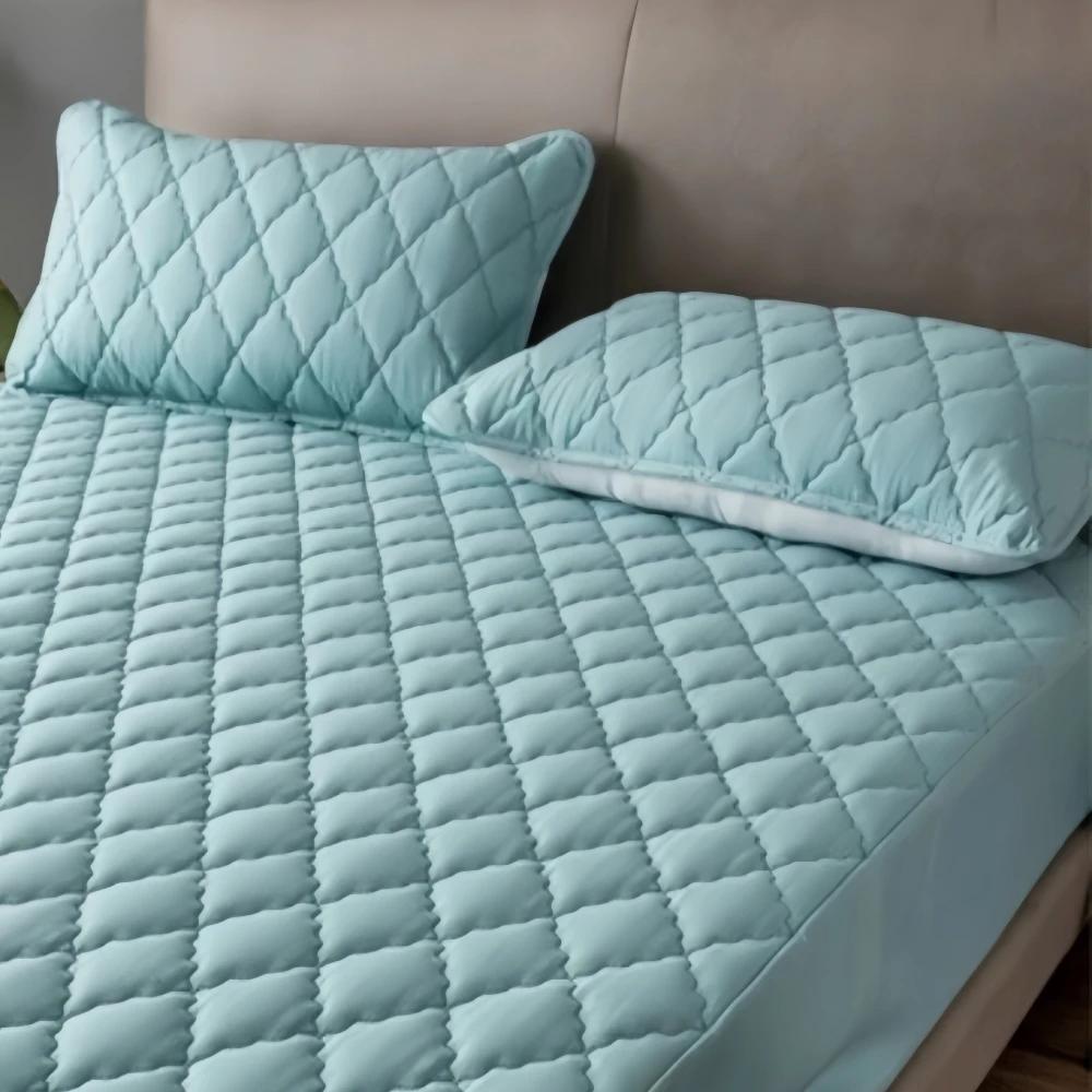2 Piece Waterproof  Fabric Pillowcase Comfortable Plain Color Anti-Mite Anti-Bacterial Pillow Case Bedroom Home Decoration