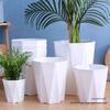Large Resin Dragon Blood Tree Planter: Thickened, Luxurious Plastic Pot for Living Room or Balcony Planting.