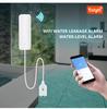 Graffiti Smart WiFi Water Leak Detector and Alarm