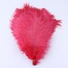 Multicolor Ostrich Hair 30-35Cm Wedding Decoration Ostrich Flannel Strip Handmade Accessories Diy Handmade