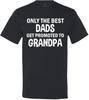 Best Dads Get Promoted To Grandpa T-shirt
