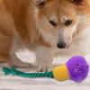 Hundekauspielzeug Hund Quietschendes Seilspielzeug zum Zahnen Haustier Kauspielzeug Plüschtier für Heimtraining Drinnen Draußen Spielzeit Familie