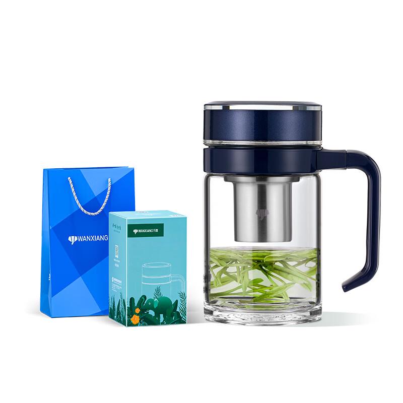 U221 Versatile Borosilicate Glass Tea Infuser Mug with Handle