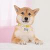 Durable Bone-Shaped Pet ID Tags, 32Pcs for Dogs