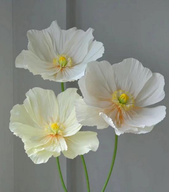 Шампанское Маковое Гигантское Бумажное Цветочное Искусство - Цветочное Украшение для Знаменитостей