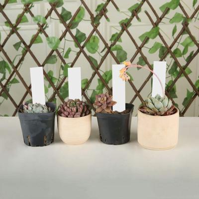 4 Inch Plant Labels Plastic Plant Name Tags Reusable Plant Tag Stakes with Marker Pen for Seedlings Flowers Herbs Vegetables