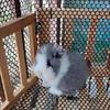 Small Hole Balcony Protection Net Wear-resistant Children Anti Fall Net  Staircase