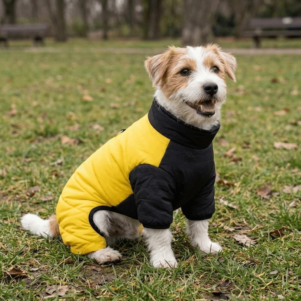 Warm Dog Jumpsuit Coat Thicken Puppy Ski Suit Dog Cotton Jacket Dog Four Legged Clothing  Outdoor