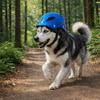 Adjustable Dog Helmet Comfortable Fit Cat Locomotive Helmet Pet Head Protection  Safety Gear