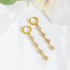 Fashion Personality Creative Earrings Stainless Steel Earrings High-End Zircon Tassel Niche Design