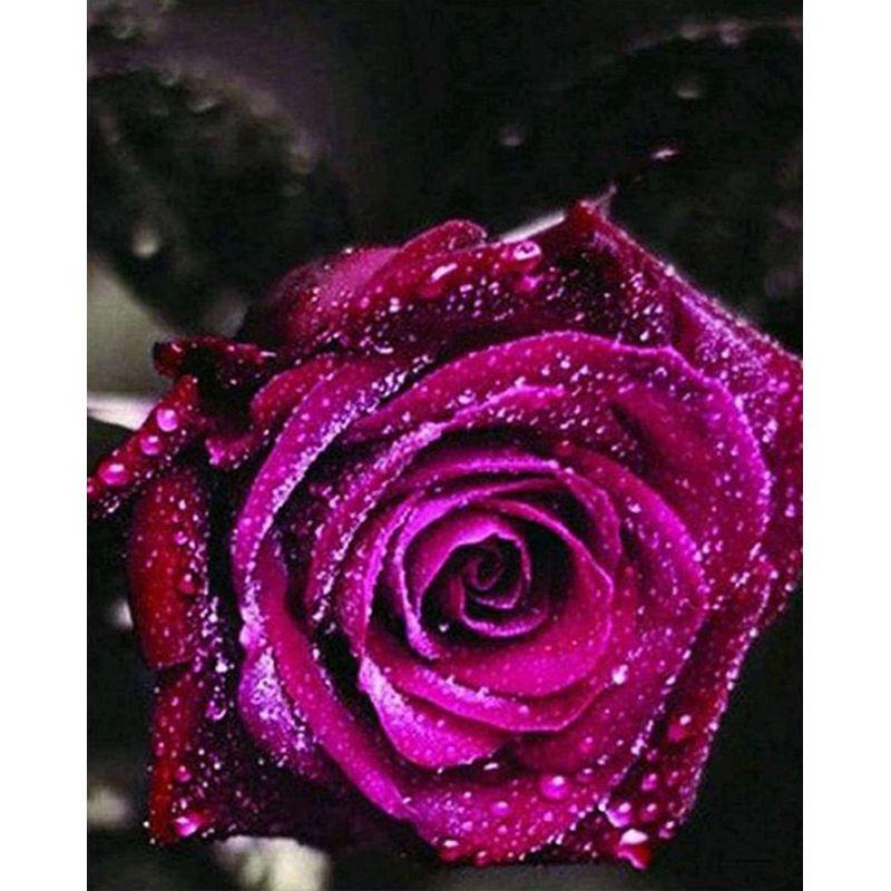 

DIY алмазная живопись цветок набор для вышивки крестом 5D полная дрель вышивка мозаика роза картина стразами подарок домашний декор Full Round 20x30CM