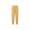 Knitted Sweatpants Men's Tawny CK6471-217