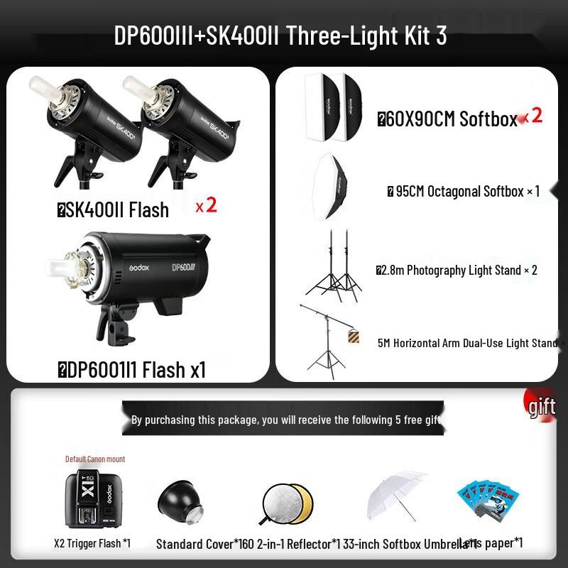 Godox SK400II & DP600III Studio Flash Kit