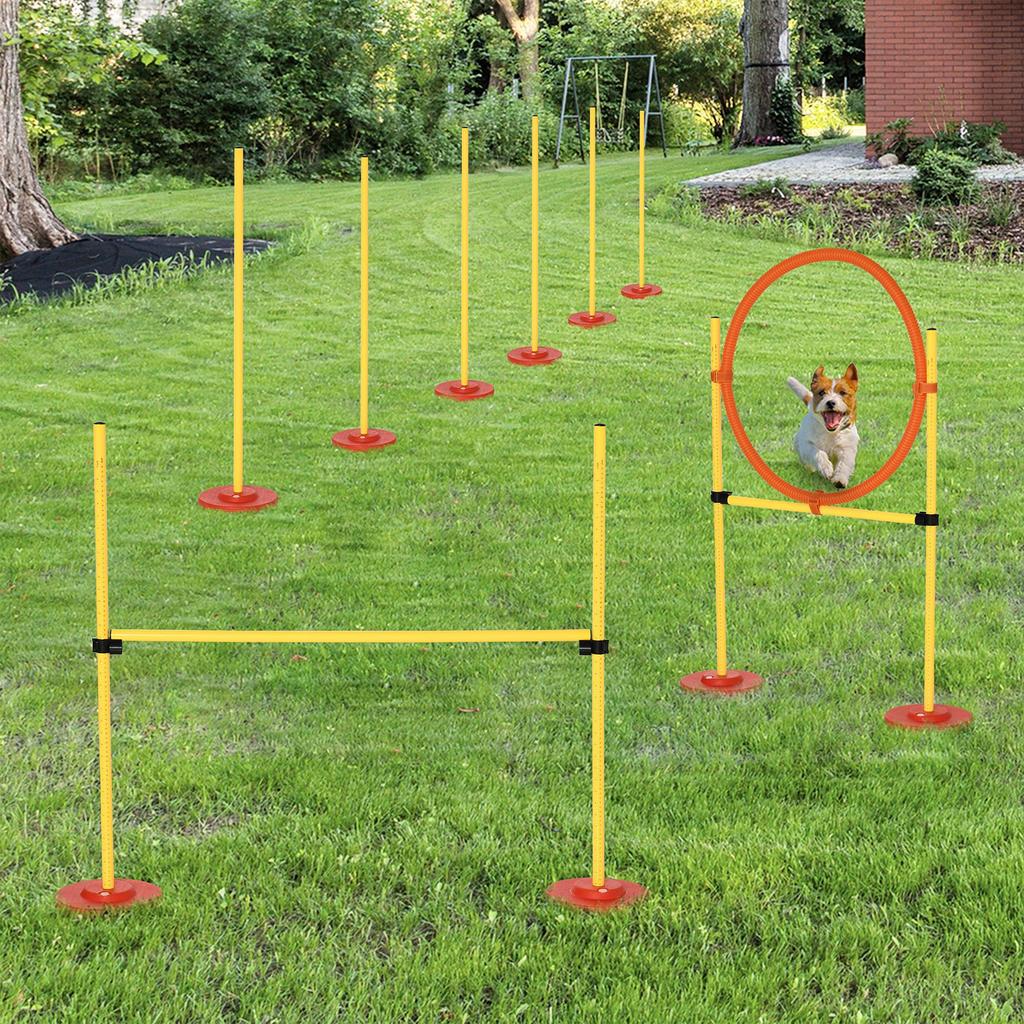 Agility Dog Set 3 Exercises: Slalom, Obstacles, Ring, for Dog Training, Portable, 2.5 kg, Yellow and Red