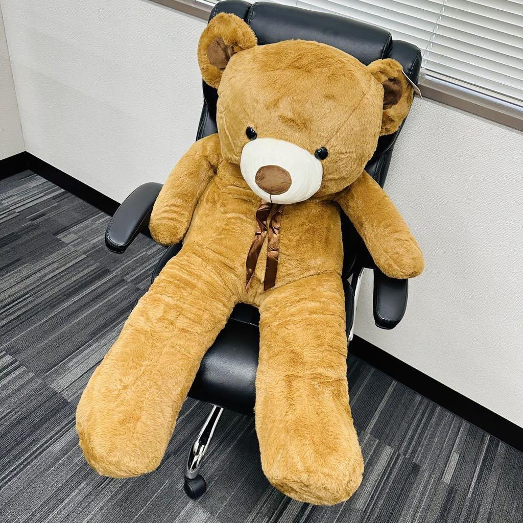 [USED] Teddy Bear Plush Toy Fluffy Bear Women's Kids Gift