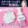 Biore the Face Foaming Facial Deep 700mL X 2 Cleanser, Moist, Refill,